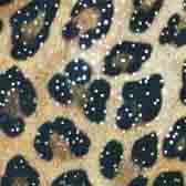 Leopard patterned